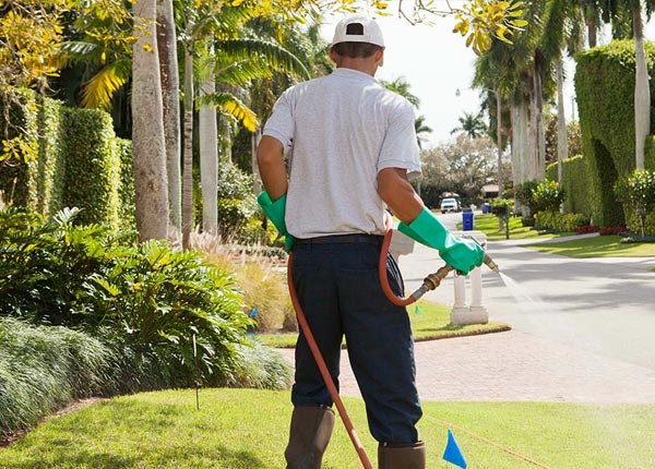 About Sycamore KS Pest Control Pros